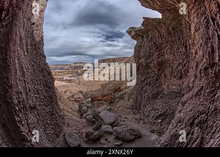 Eine flache Höhle, die aus einer Klippenwand unterhalb der Blue Mesa im Petrified Forest National Park in Arizona, USA, Nordamerika gemeißelt wurde Stockfoto