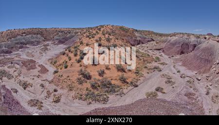 Eine abfallende rote Sanddüne über Hamilili Wash im Petrified Forest National Park, Arizona, USA, Nordamerika Stockfoto