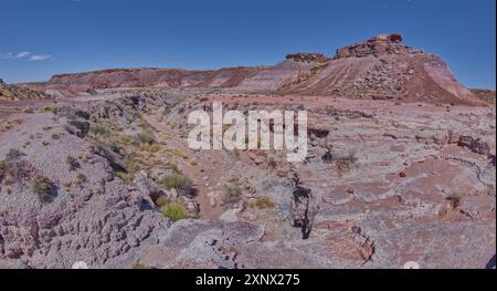 Ein trockener Wasserfall im Crystal Creek unterhalb von Crystal Mesa westlich von Hamilili Point im Petrified Forest National Park, Arizona, USA Stockfoto