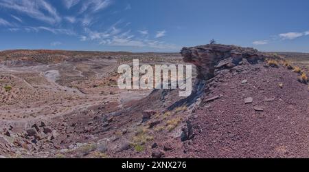 Blick vom Gipfel des Crystal Mesa westlich von Hamilili Point im Petrified Forest National Park, Arizona, USA, Nordamerika Stockfoto