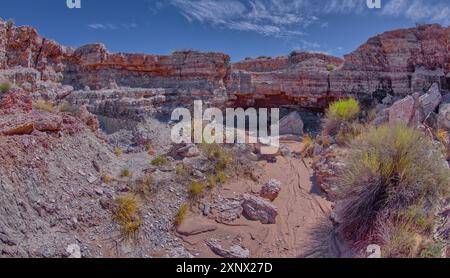 Ein trockener Wasserfall im Crystal Creek unterhalb von Crystal Mesa westlich von Hamilili Point im Petrified Forest National Park, Arizona, USA Stockfoto