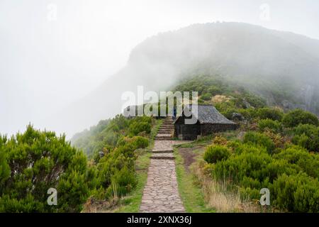 Frau Trekking auf dem Weg zum Pico Ruivo bei Nebel, Santana, Madeira, Portugal, Atlantik, Europa Stockfoto