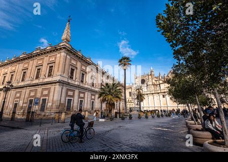 Archivo General de Indias (Allgemeines Archiv der Indischen Inseln), UNESCO-Weltkulturerbe, Plaza del Triunfo, Sevilla, Andalusien, Spanien, Europa Stockfoto