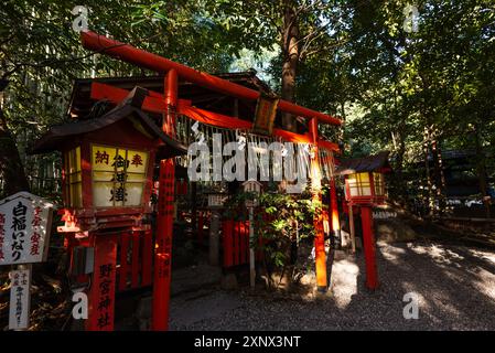 Rotes Torii-Tor und Laterne des wunderschönen Shinto-Schreins, Nonomiya-Schrein, gelegen im herbstlichen Wald in Arashiyama, Kyoto, Hoshu, Japan, Asien Stockfoto