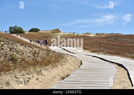 Kognitiver Weg durch Sanddünen, Naturschutzgebiet Nagliai, Kurische Nehrung, Litauen, Baltikum, Nordeuropa Stockfoto