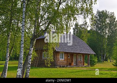 Blockhaus, Miskiniskes ländliche Unterkünfte, Aukstaitija Nationalpark, Litauen, Europa Stockfoto