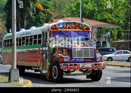 Diablo Rojo (Red Devil) Bus in Panama, Panama-Stadt, Republik Panama, Zentralamerika Stockfoto