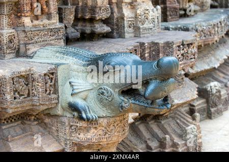 Detail des Sonnentempels aus der Mitte des 13. Jahrhunderts, gewidmet Surya, dem hinduistischen Sonnengott, UNESCO, Konarak, Puri District, Odisha, Indien Stockfoto