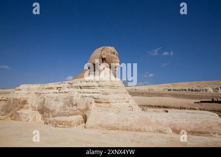 Große Sphinx von Gizeh, Pyramidenkomplex von Gizeh, UNESCO-Weltkulturerbe, Gizeh, Ägypten, Nordafrika, Afrika Stockfoto