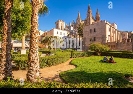 Blick auf die Kathedrale Santa Maria de Mallorca vom Seo Garden, Palma de Mallorca, Mallorca, Balearen, Spanien, Mittelmeerraum, Europa Stockfoto