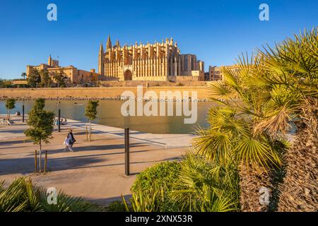 Blick auf die Kathedrale Santa Maria de Mallorca von Passeig Maritime, Palma de Mallorca, Mallorca, Balearen, Spanien, Mittelmeer Stockfoto