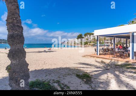 Blick auf das Strandcafé und die Hotels in Santa Ponsa, Mallorca, Balearen, Spanien, Mittelmeer, Europa Stockfoto
