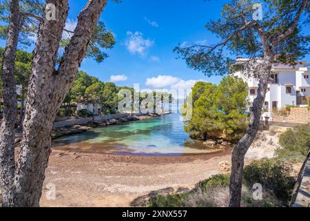 Blick auf es Calo d'en Pellicer Strand in Santa Ponsa, Mallorca, Balearen, Spanien, Mittelmeer, Europa Stockfoto