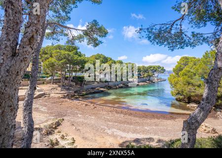 Blick auf es Calo d'en Pellicer Strand in Santa Ponsa, Mallorca, Balearen, Spanien, Mittelmeer, Europa Stockfoto