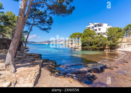 Blick auf es Calo d'en Pellicer Strand in Santa Ponsa, Mallorca, Balearen, Spanien, Mittelmeer, Europa Stockfoto