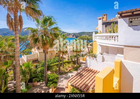 Blick auf die Villen mit Blick auf die Bucht von Camp de Mar, Camp de Mar, Mallorca, Balearen, Spanien, Mittelmeerraum, Europa Stockfoto