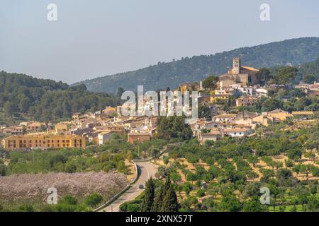 Blick auf die auf einem Hügel gelegene Stadt Selva, Mallorca, die Balearen, Spanien, das Mittelmeer, Europa Stockfoto