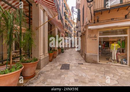 Blick auf Geschäfte und Architektur in Palma, Palma de Mallorca, Mallorca, Balearen, Spanien, Mittelmeerraum, Europa Stockfoto