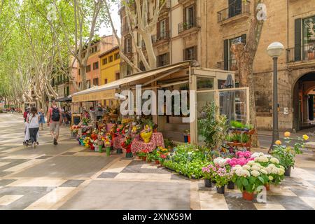 Blick auf den Blumenstand und das Café auf der von Bäumen gesäumten Rambla in Palma, Palma de Mallorca, Mallorca, Balearen, Spanien, Mittelmeerraum, Europa Stockfoto