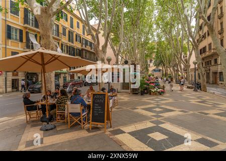 Blick auf das Café auf der von Bäumen gesäumten Rambla in Palma, Palma de Mallorca, Mallorca, Balearen, Spanien, Mittelmeerraum, Europa Stockfoto