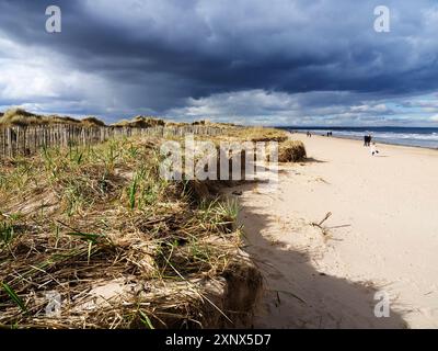 Walkers on the West Sands in St. Andrews, Fife, Schottland, Großbritannien, Europa Stockfoto