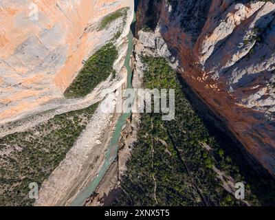 Tiefe Schlucht mit steilen, vegetationsreichen Felswänden und einem Fluss, der durch die enge Schlucht fließt, aus der Luft, Congost de Mont-rebei Schlucht, Noguera Stockfoto