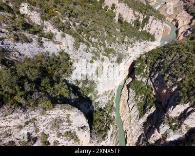 Aus der Vogelperspektive auf eine tiefe, vegetationsreiche Schlucht mit einem sich schlängelnden Fluss und steilen Felswänden, aus der Vogelperspektive auf die Schlucht Congost de Mont-rebei, Noguera Stockfoto