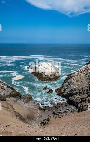 Trockene Wüste Küste von Iquique, Atacama Wüste, Chile, Südamerika Copyright: MichaelxRunkel 1184-12445 Stockfoto