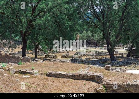 Antike Ruinen der archäologischen Stätte von Olympia, UNESCO-Weltkulturerbe, Peloponnes, Griechenland, Europa Copyright: Bestravelvideo 1278-457 Stockfoto