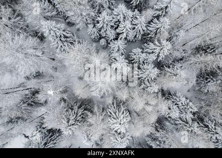 Winterschnee in den italienischen Alpen, mit dem Berg Ponte di Legno in der Provinz Brescia, Lombardei, Italien, Europa Copyright: MichelexRossetti 1299-171 Stockfoto