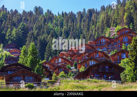 Moderne Chalets in den Hügeln von Grimentz, Val d'Anniviers, Walliser Alpen, Kanton Wallis, Schweiz Stockfoto