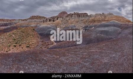 Mit Hoodoo gefüllte Klippen an der Nordseite von Blue Mesa im Petrified Forest National Park, Arizona, USA, Nordamerika Copyright: STE Stockfoto