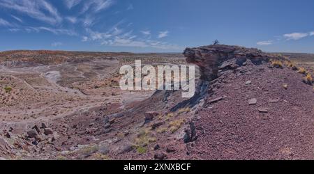 Blick vom Gipfel des Crystal Mesa westlich von Hamilili Point im Petrified Forest National Park, Arizona, Vereinigte Staaten von Amerika, Nordamerika Copyri Stockfoto