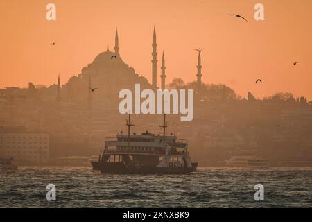 Ein Boot in der Bosporus- und Suleymaniye-Camii-Moschee, Istanbul, Türkei, Europa Copyright: FrancescoxFanti 1336-1180 Stockfoto