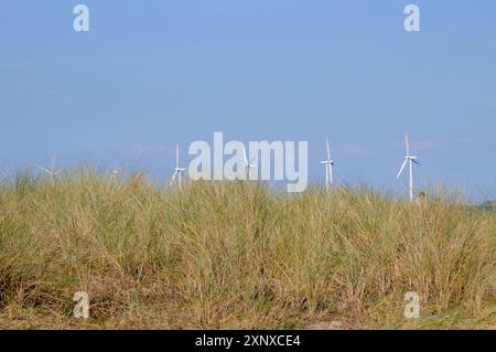 Amager/Kopenhagen/Dänemark/02. August 2024/Blick auf Windkraftanlagen vom Kastrup Hafen und am Strand von Amage Beach Park am sonnigen Tag in Kastrup. Foto. Bilder von Francis Joseph Dean/Dean sind nicht für kommerzielle Zwecke bestimmt Stockfoto