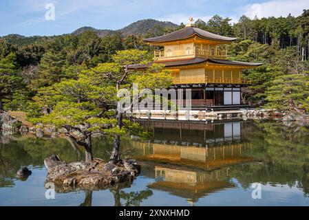 Goldener Tempel Kinkaku-JI Tempel des Goldenen Pavillons, UNESCO-Weltkulturerbe, Kyoto, Honshu, Japan, Asien Copyright: CasparxSchlageter 1372-498 Stockfoto