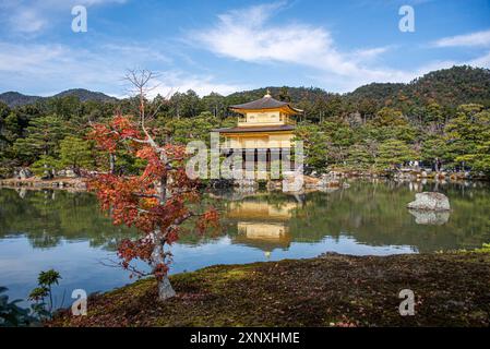 Goldener Tempel Kinkaku-JI Tempel des Goldenen Pavillons, UNESCO-Weltkulturerbe, Kyoto, Honshu, Japan, Asien Copyright: CasparxSchlageter 1372-496 Stockfoto