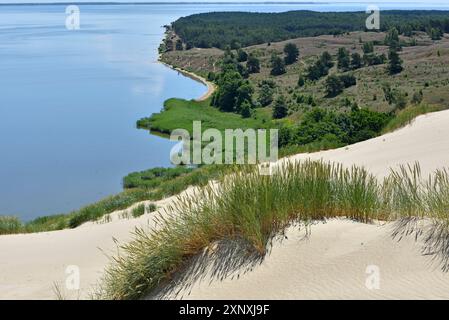 Sanddünen, Naturschutzgebiet Nagliai, Kurische Nehrung, Litauen, Baltische Staaten, Copyright für Nordeuropa: GOUPIxCHRISTIAN 1382-161 Stockfoto