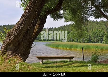 Am Rande des Lusiai-Sees bei Paluse, Aukstaitija-Nationalpark, Litauen, Europa Urheberrecht: GOUPIxCHRISTIAN 1382-202 REKORDDATUM NICHT ANGEGEBEN Stockfoto