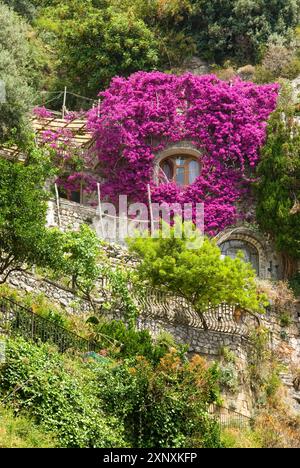 Positano, Amalfiküste, UNESCO-Weltkulturerbe, Provinz Salerno, Region Kampanien, Italien, Europa Copyright: GOUPIxCHRISTIAN 1382-322 Stockfoto