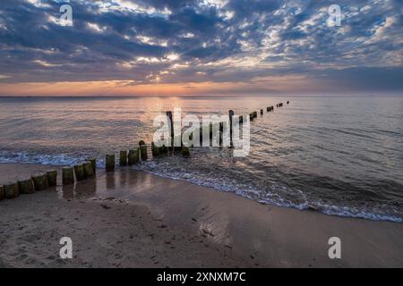 Groynes an der Ostseeküste bei Graal Mueritz Stockfoto