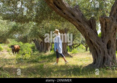 Frau im Olivenhain in Qeparo, Ionische Küste, Albanien, Europa Copyright: GOUPIxCHRISTIAN 1382-443 Stockfoto