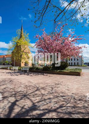 Das Steintor in der Hansestadt Rostock im Frühjahr Stockfoto