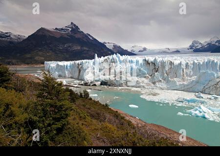 Perito Moreno-Gletscher Stockfoto