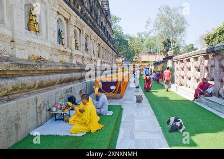 Blumenopfer und Gläubige im Klosterweg des buddhistischen Mahabodhi Mahabihara Tempels Great Stupa, Bodh Gaya, UNESCO-Weltkulturerbe, BiH Stockfoto