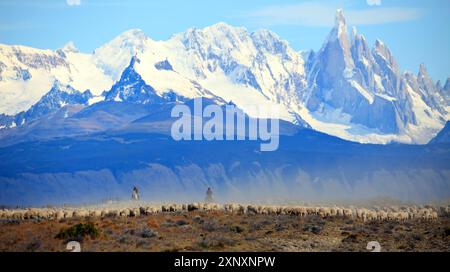 Gauchos, die Rinder vor dem Fitz Roy-Massiv in Argentinien treiben Stockfoto