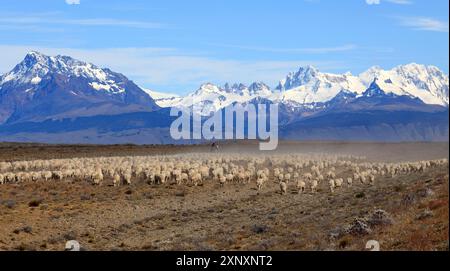 Gauchos, die Rinder vor dem Fitz Roy-Massiv in Argentinien treiben Stockfoto