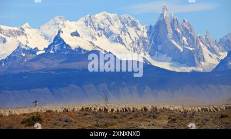 Gauchos, die Rinder vor dem Fitz Roy-Massiv in Argentinien treiben Stockfoto