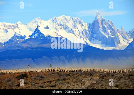 Gauchos, die Rinder vor dem Fitz Roy-Massiv in Argentinien treiben Stockfoto