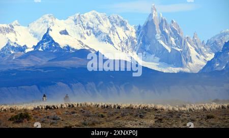 Gauchos, die Rinder vor dem Fitz Roy-Massiv in Argentinien treiben Stockfoto